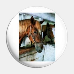 Horses - Brown Horse in Stall Pin