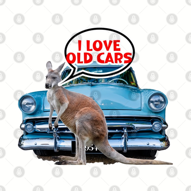 There's a Kangaroo near my Car by Custom Autos