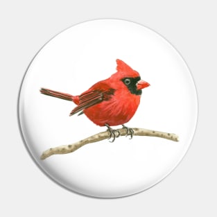 Cardinal bird Pin