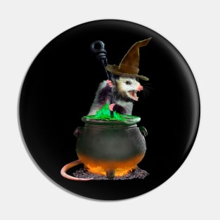 Halloween Possum Pin