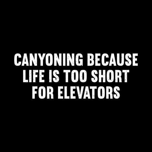 Canyoning Because Life is Too Short for Elevators by trendynoize