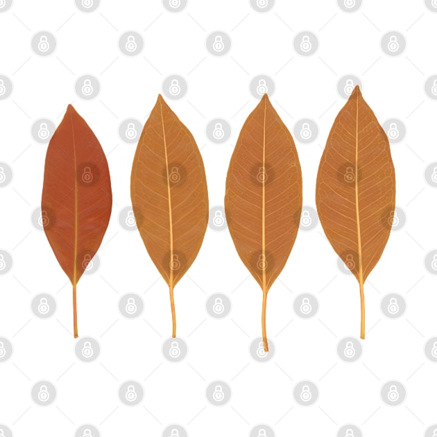 Magnolia leaves pattern orange by Chris W