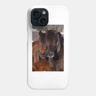 Nose frost - Horses Phone Case