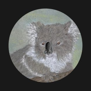 Koala Watches from Tree T-Shirt