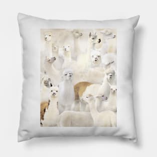 Alpacas Pillow