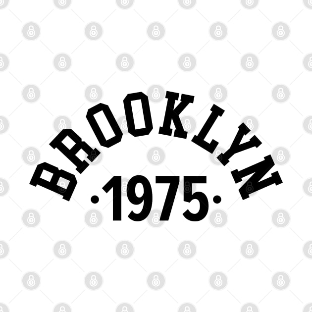 Brooklyn Chronicles: Celebrating Your Birth Year 1975 by Boogosh