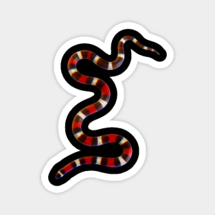 Coral snake Magnet