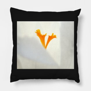 Alleluia - it's Spring! Pillow