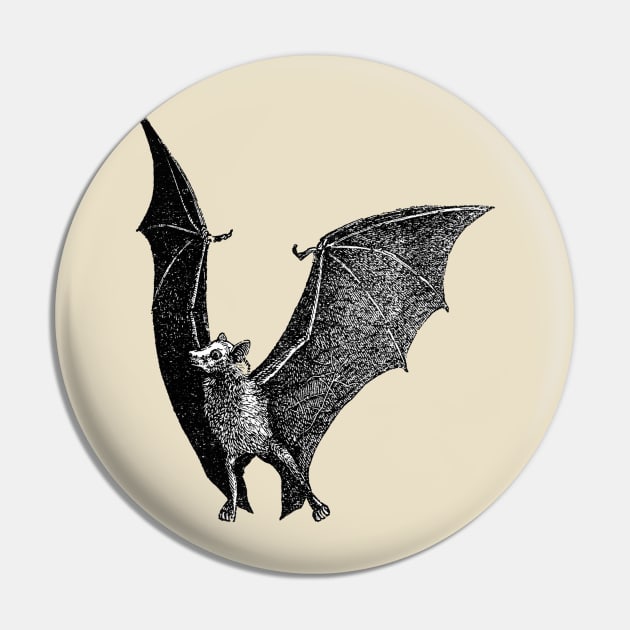 Bat Vintage Illustration Pin by aimtrue