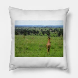 Ugandan Safari Pillow