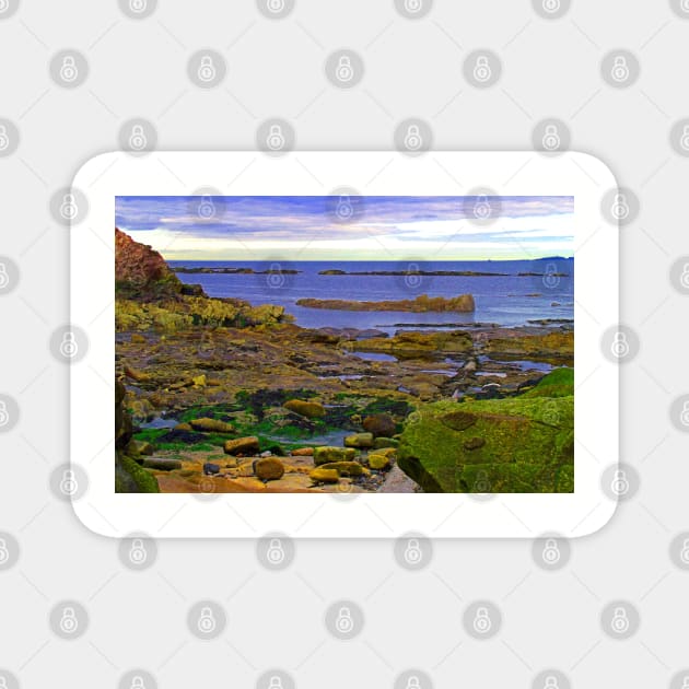 Pittenweem shore Magnet by tomg