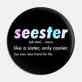 Seester Definition Funny Pin
