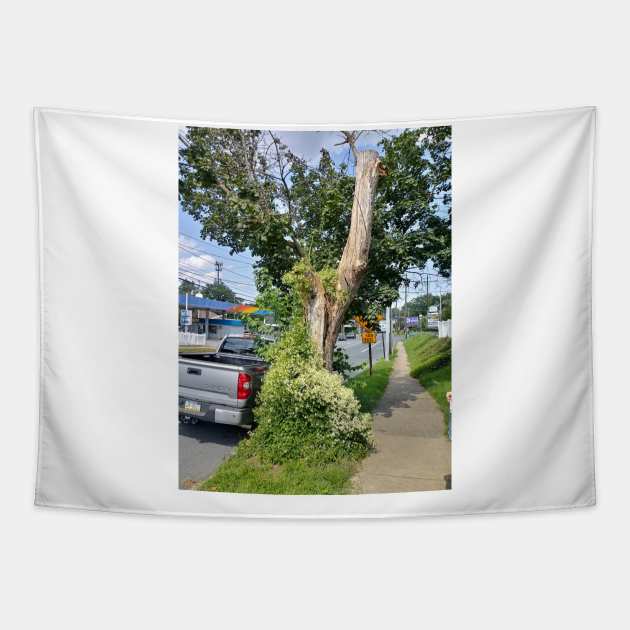 The tree in front of my house Tapestry by Popoffthepage