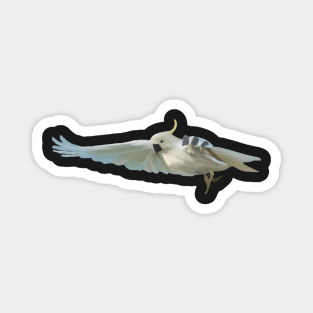 Cockatoo Magnet