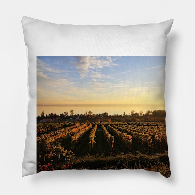 Grape Orchards and Flies in the Sunset - Lake Constance Pillow by holgermader