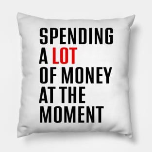 Spending A Lot Of Money At The Moment Pillow