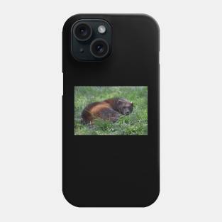 Wolverine Phone Case