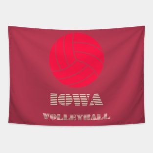 Iowa volleyball Tapestry