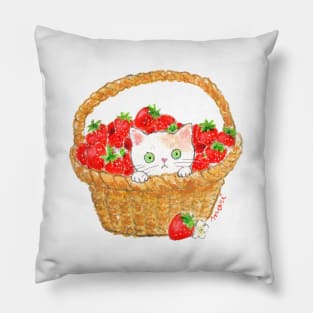 Cat Basket Pillow