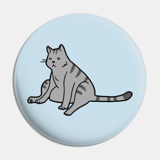 Slouchy Cat Pin