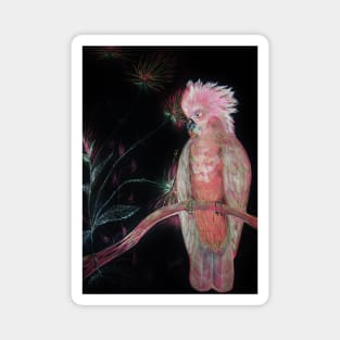 PINK COCKATOO PARROT TROPICAL EXOTIC ABSTRACT PALM POSTER PRINT Magnet