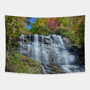 Amicalola Falls, Georgia, in Autumn Tapestry