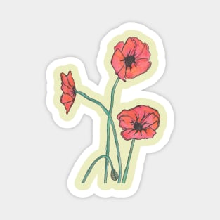 Red Poppies Magnet