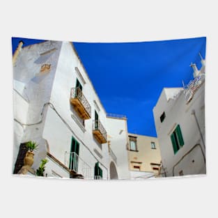 Typical buildings of Ostuni Tapestry