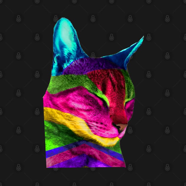 Multicolored Cat by Le Meyer DIGI DESIGNS