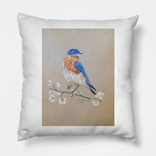 Bluebird Pillow by Bill Cameron Fine Art