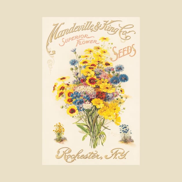 Mandeville & King Co., superior flower seeds (1907) by WAITE-SMITH VINTAGE ART