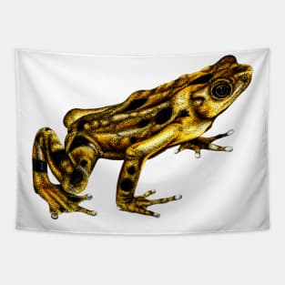 Golden frog colour illustration Tapestry