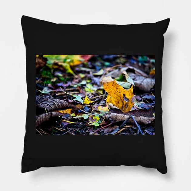 The leaf with a heart Pillow by InspiraImage