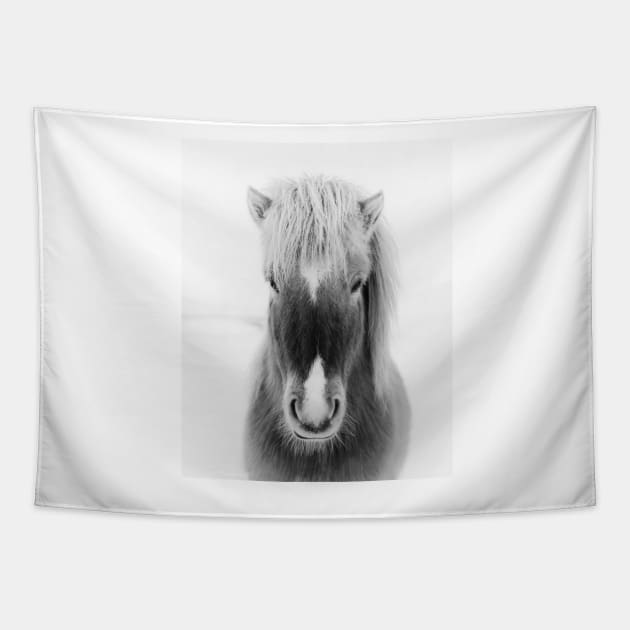 Icelandic Horse Portrait, black and white Tapestry by AmyBrinkman