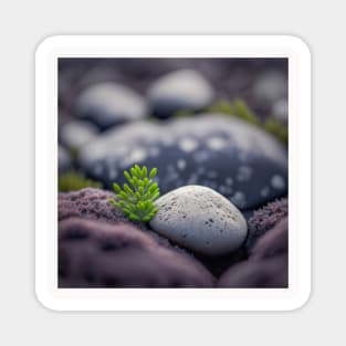 Leaves Pebbles Calm Tranquil Nature Peaceful Season Outdoors Magnet