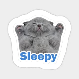 vintage-sleepy cat Magnet