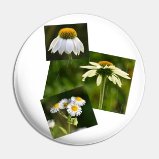 Daisy Daisy Photography Pin