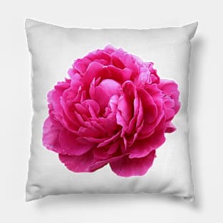 Pink peony Pillow