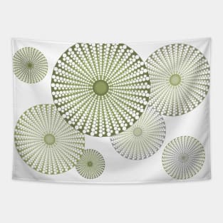 Sea Urchin | Kina | Abstract | Patterns in Nature | Sea Shells | Seashells | Sage Green | Tapestry