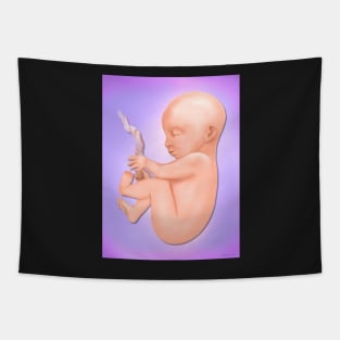 Fetus 7 Months Tapestry