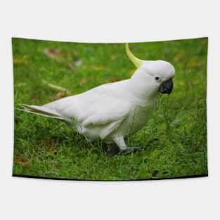 Cockatoo Walk Tapestry