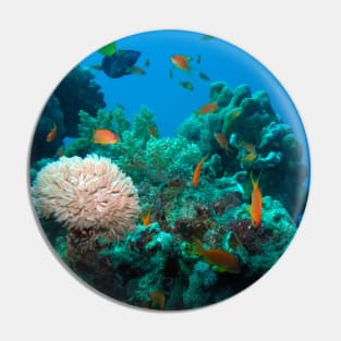 Coral reef Pin