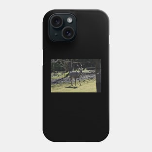 Kudu Phone Case