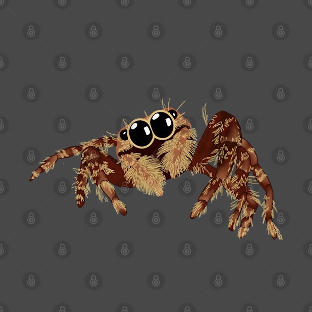 Jumping Spider - Critter by alyga.art