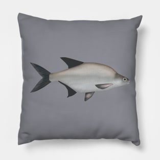 Common Bream Pillow