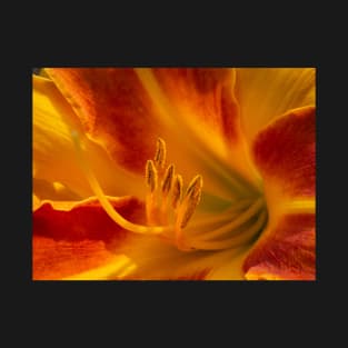 Orange Amaryllis Lily T-Shirt