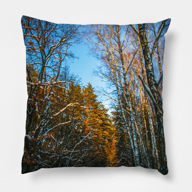 Winter landscape with snow-covered spruce forest. Pillow by Olga Berlet