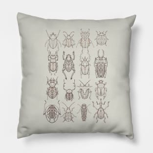 Coleoptera Pillow