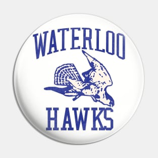 Defunct Waterloo Hawks Basketball Team Pin