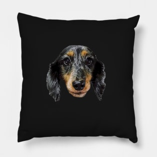 Dachshund Black Silver Dapple Puppy Dog Pillow